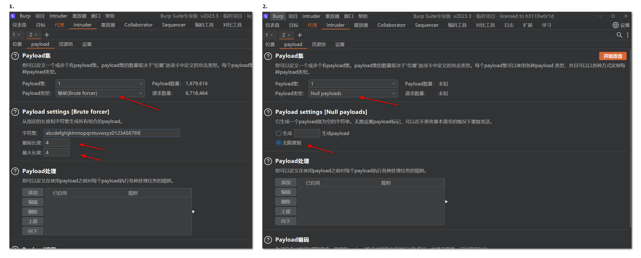 payloads配置
